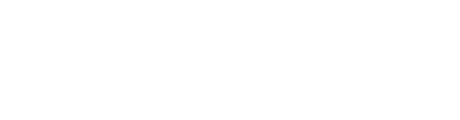 Junk It Mobile Dumpsters